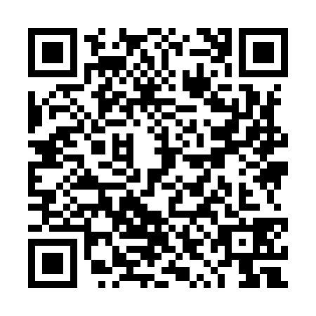 QR code for TYI9387