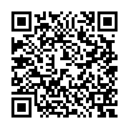QR code for TYO0533