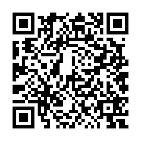 QR code for TYV0293