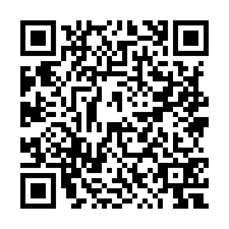 QR code for TYY9729