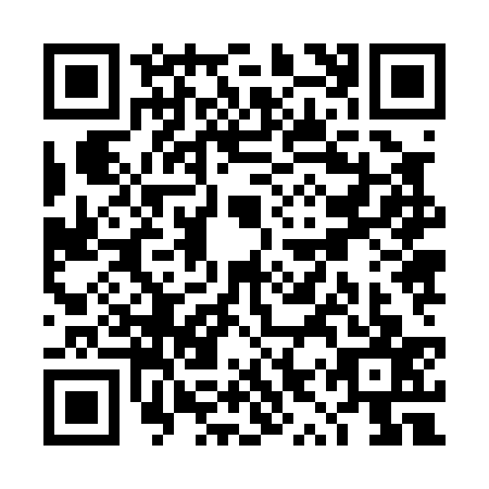 QR code for TYZ0378