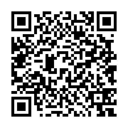 QR code for TZD0393