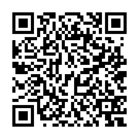 QR code for UAE3334