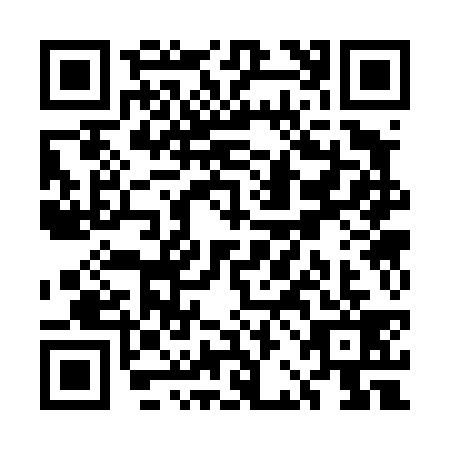 QR code for UBC4393