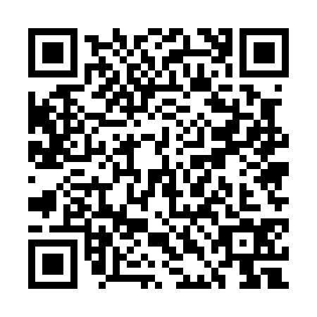 QR code for UDE0341