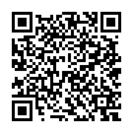 QR code for UDE4238