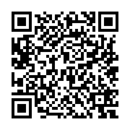 QR code for UDJ9295