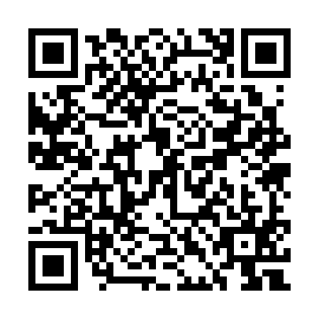 QR code for UDK3953