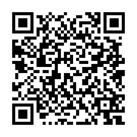 QR code for UDP4228