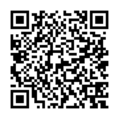 QR code for UDU5384