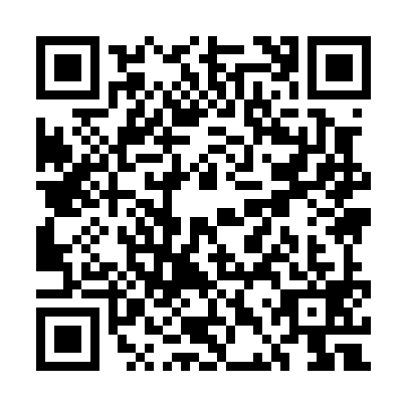 QR code for UDY0995