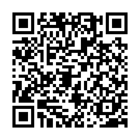 QR code for UEE2013