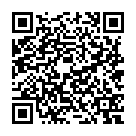 QR code for UIU9333