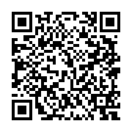 QR code for UPI4913
