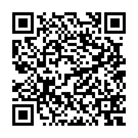 QR code for UYS0196
