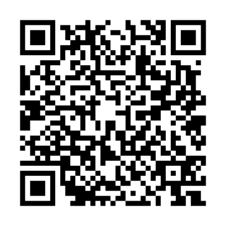 QR code for VAG4335