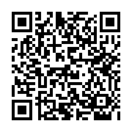 QR code for VBI3493