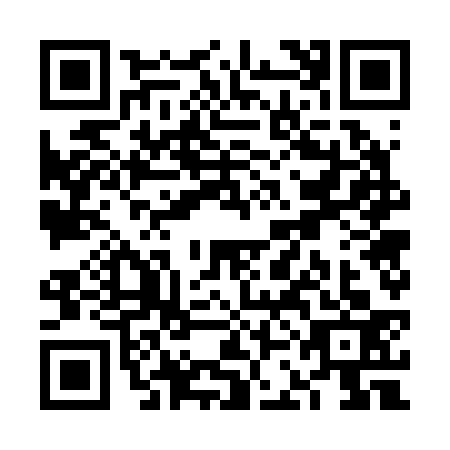 QR code for VCG2339