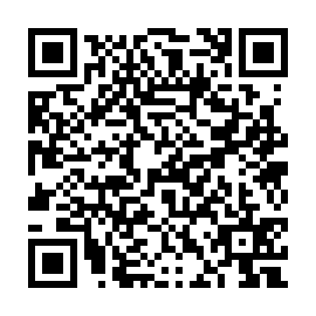 QR code for VDS3351
