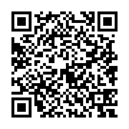 QR code for VEN5381