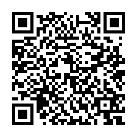 QR code for VEO3234
