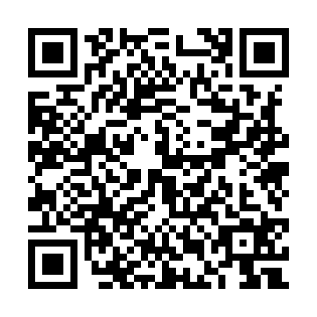 QR code for VEO9241