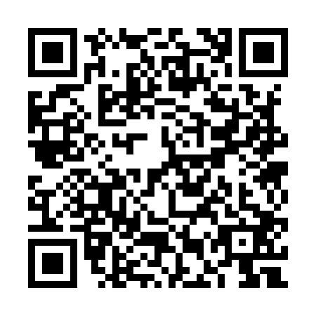 QR code for VES9029