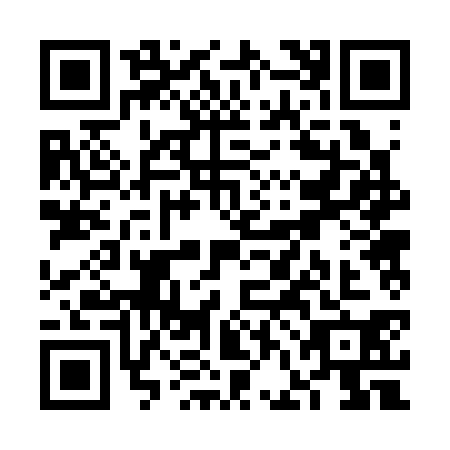 QR code for VFB3303