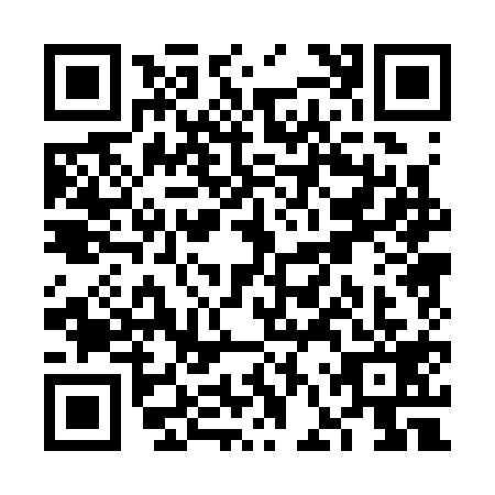 QR code for VFP3194