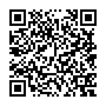 QR code for VFP8313