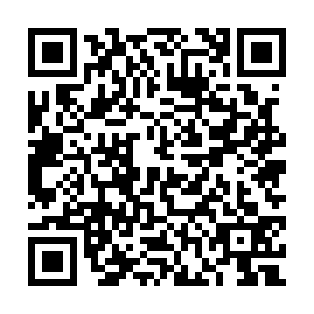 QR code for VGE1333