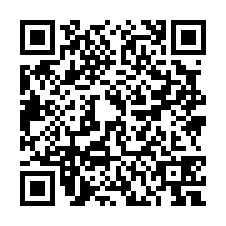 QR code for VGI0383