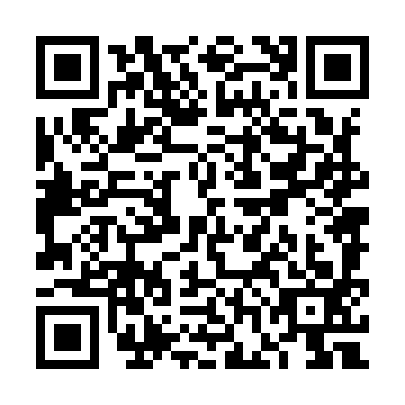 QR code for VGN9933