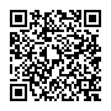 QR code for VGP0004