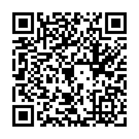 QR code for VGP3874