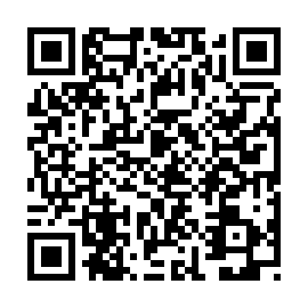 QR code for VIE2234