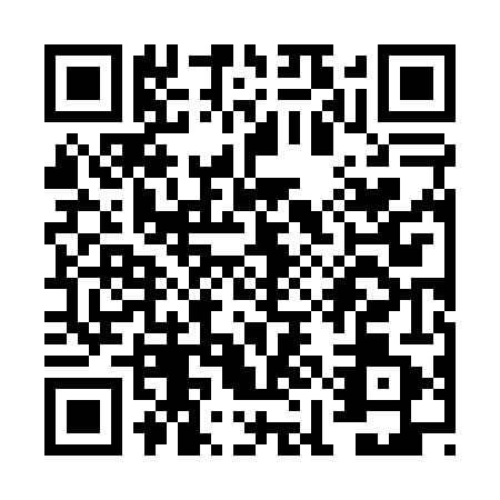 QR code for VIJ0411