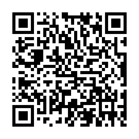 QR code for VIJ3300