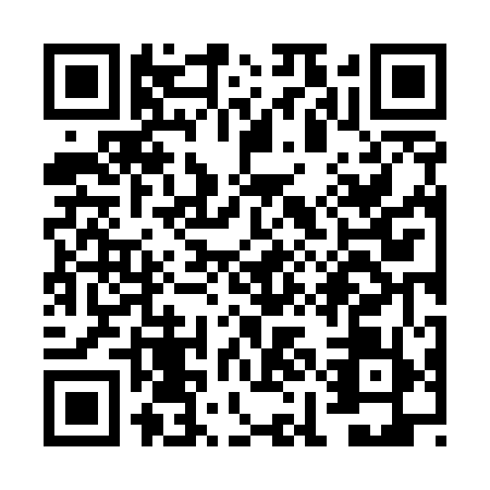 QR code for VIN5595