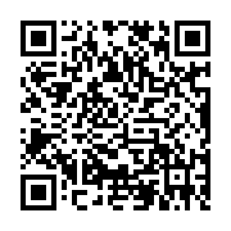 QR code for VIN9128