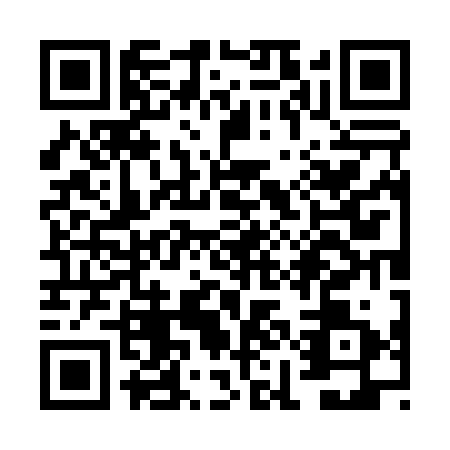 QR code for VIO0318