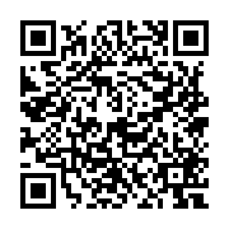 QR code for VIQ9496