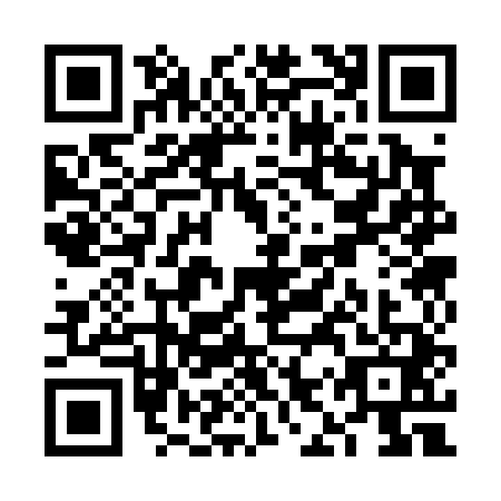 QR code for VIS0417