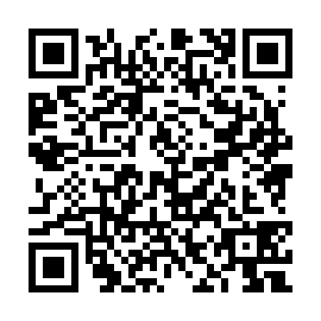 QR code for VIX2384