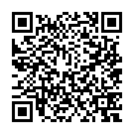 QR code for VIZ5795