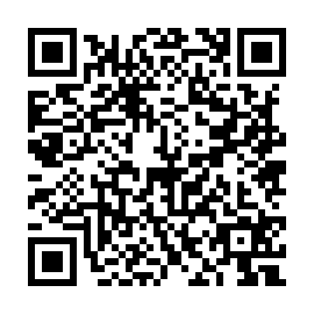 QR code for VIZ9249
