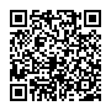 QR code for VJD0409