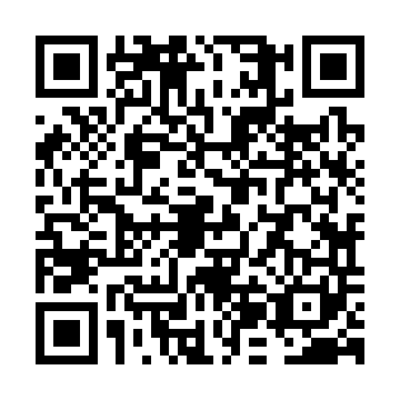 QR code for VJJ3419