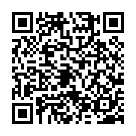 QR code for VJL0100