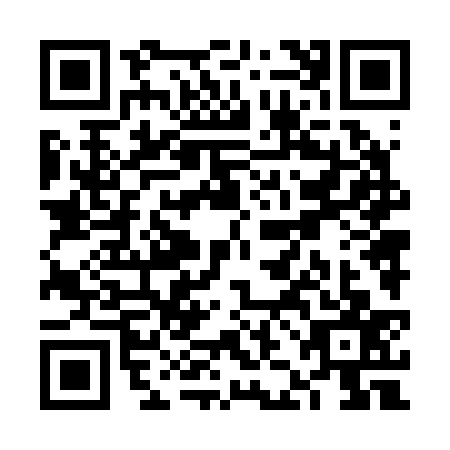 QR code for VJN2379